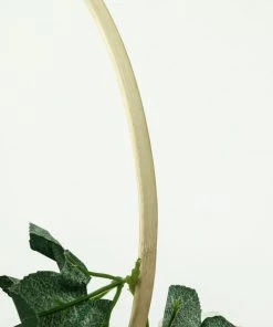 HIER_3400 Floral Supplies Set Of 5 | Natural Wooden Rings For Crafts | Floral Hoop Wreath | Wooden Hoop