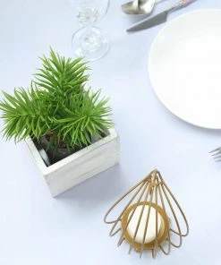 HIER_1731 2 Pack | 5