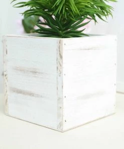 HIER_1731 2 Pack | 5