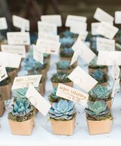 HIER_1600 Chargers & Centerpieces 3 Pack | 4