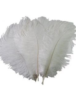 HIER_5170 12 Pack | 13